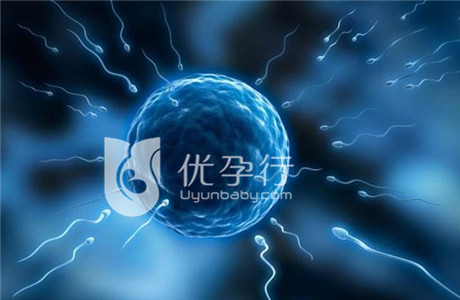 timg (14)_副本.jpg